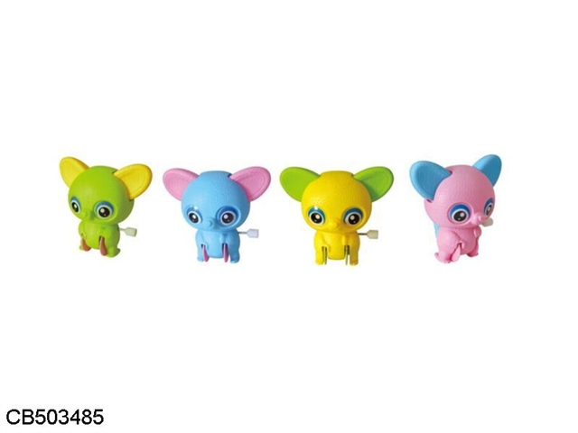 4 color mix of rare rare eyed monkeys