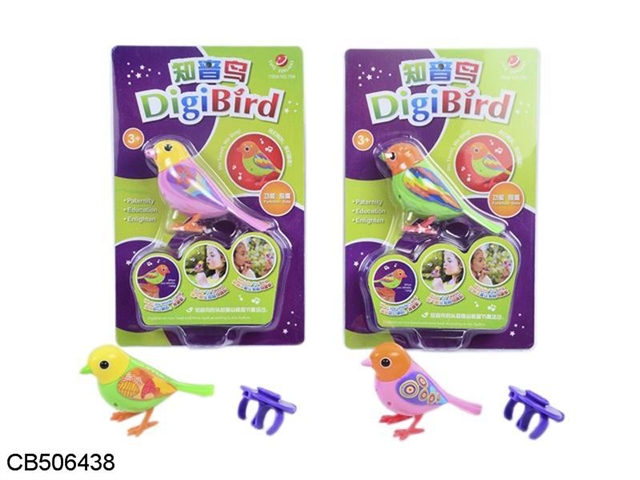 Companion bird (solo) 4 colors mixed packet of electricity 3 *AG13 batteries