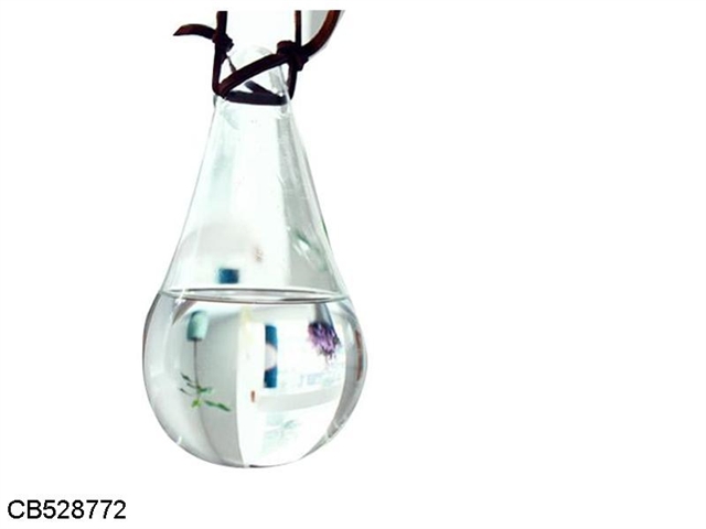 Water drop drive fly decorative bottle