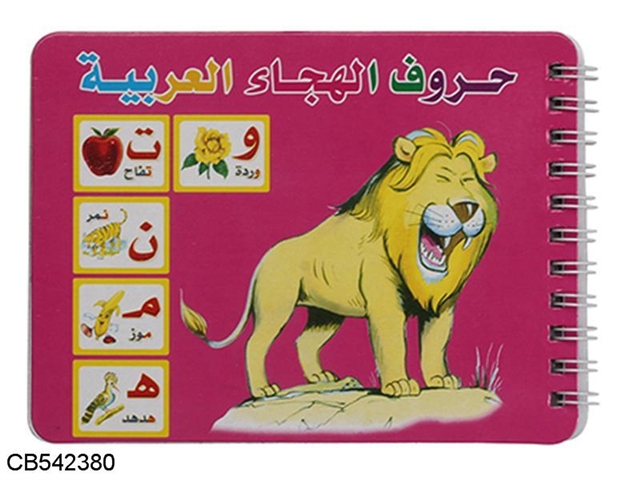 Board book lion (A Wen)