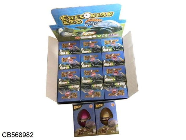 Tortoise plain egg 12pcs/ box