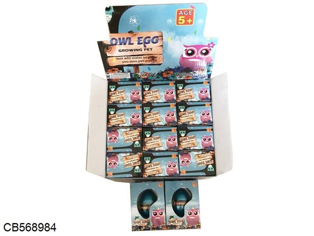 Owl 12pcs/ egg box