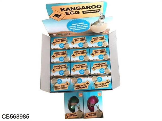 Kangaroo egg colored 12pcs/ box