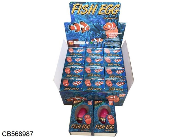 Tropical fish monochrome eggs 12pcs/ box