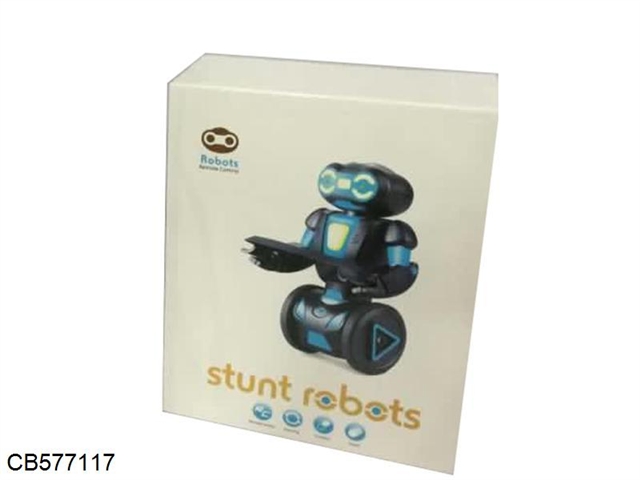 Remote control robot