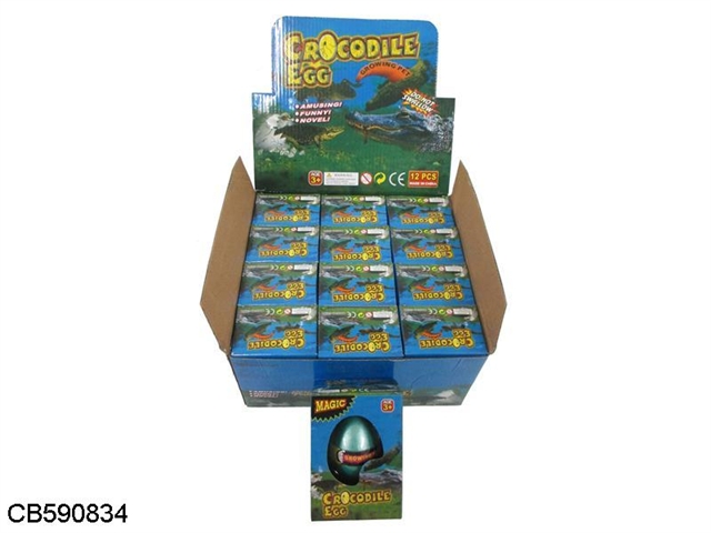 12 expansion crocodile egg 12 box / display box