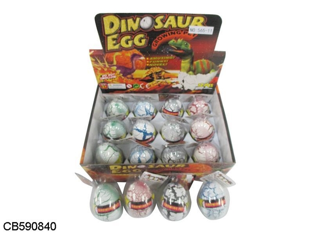 12 expansion white crack dinosaur egg 12 boxes / display box