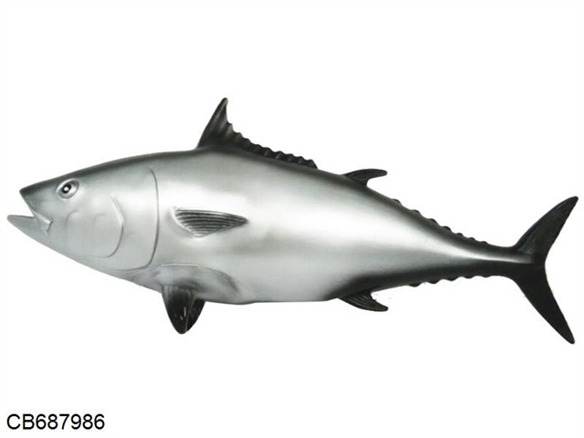 Marine animal tuna