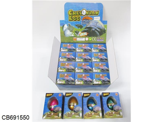 Expand the turtle egg 12 / display box