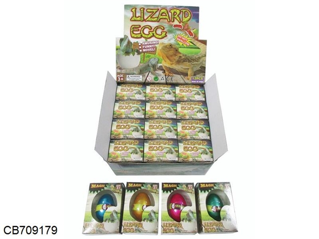 Expansion lizard eggs 12 / display box