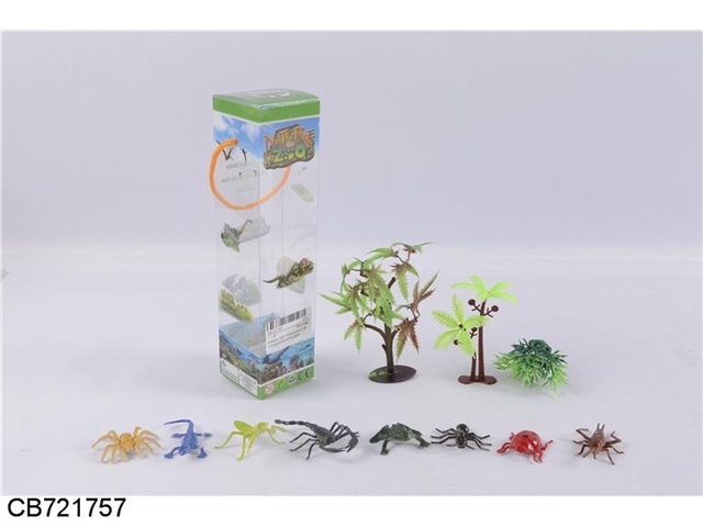 Animal pack, animal world, insect spider
