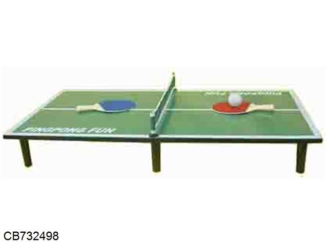 Table tennis table