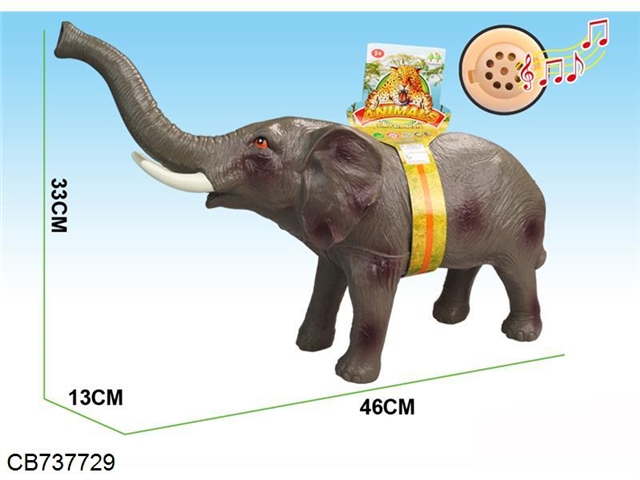 Elephant belt IC