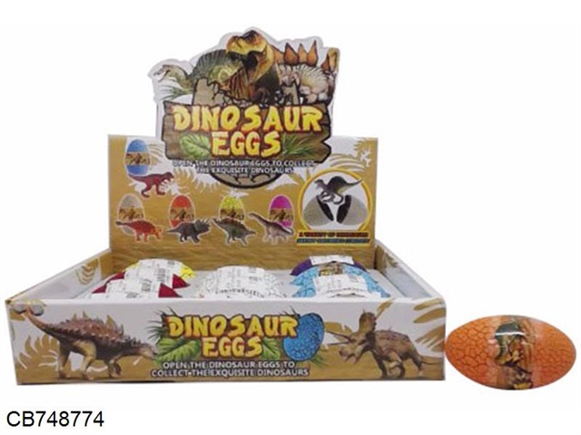 12 dinosaur eggs / display boxes