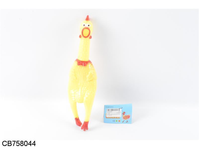 31CM screams the chicken