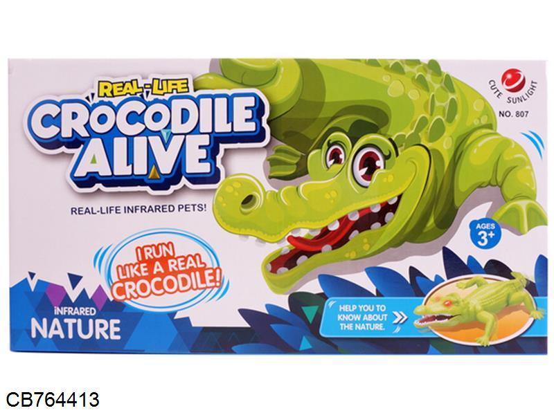 Infrared remote control crocodile