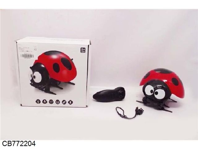 2.4G remote control ladybug