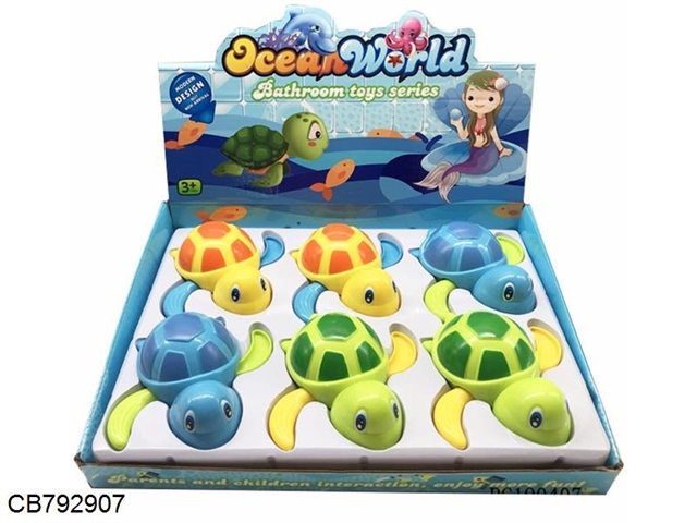 Sea turtles