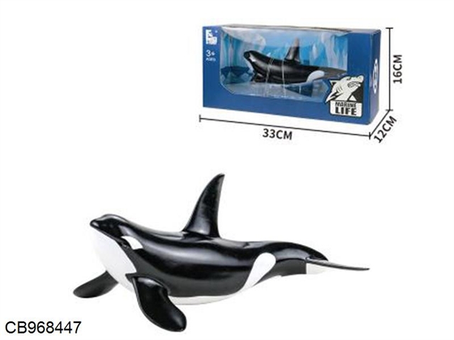 Killer whale