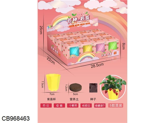 Plant planting blind box (fruit) /12pcs