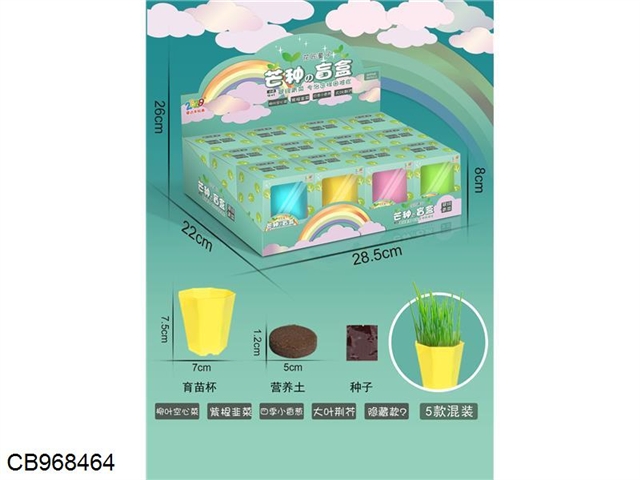 Plant planting blind box (green vegetables) /12pcs