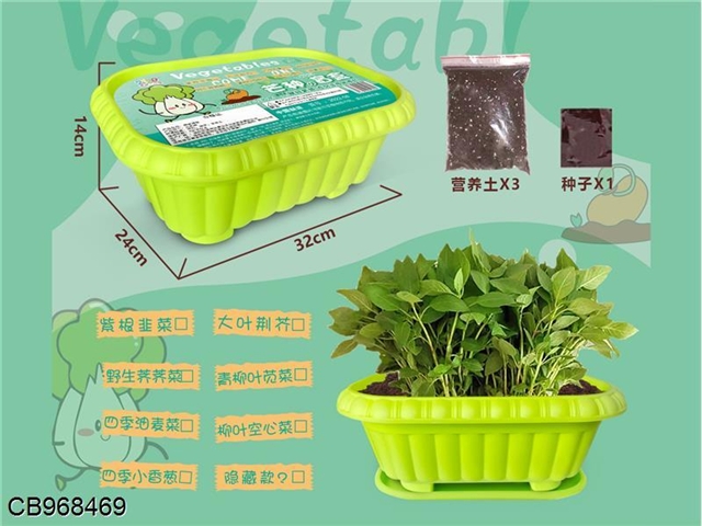 Plant planting blind box (green vegetables)
