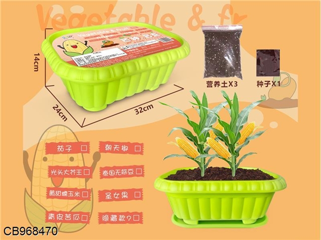 Plant planting blind box (fruits and vegetables)