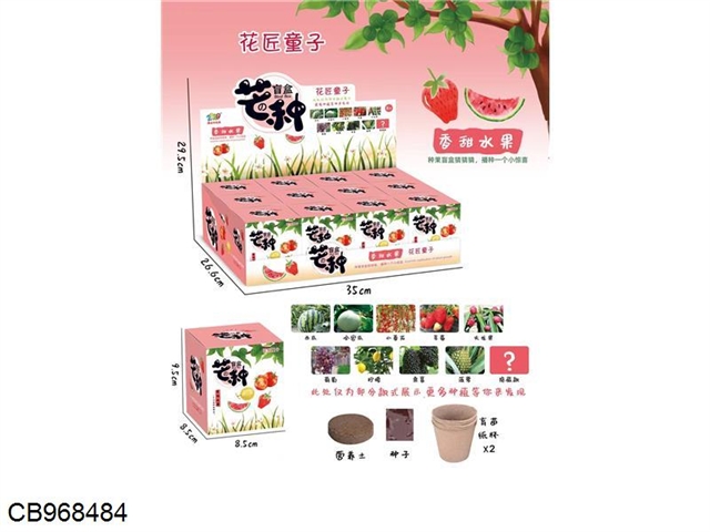 Plant planting blind box (fruit, with environmental protection paper cup inside) /12pcs