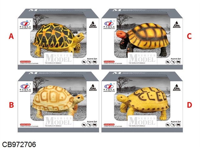 Tortoise simulation model (4 models)