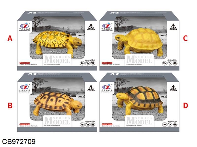 Tortoise simulation model (4 models)