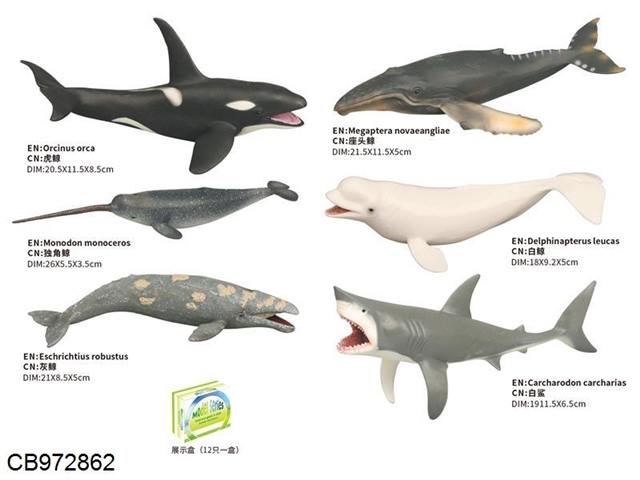 Marine animal model (6 mixed packages) (12 pieces / box)