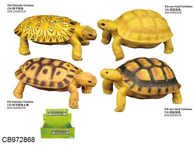 Tortoise simulation model (4 models) (12 pieces / box)