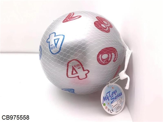 Net bag with 22cm silver digital ball