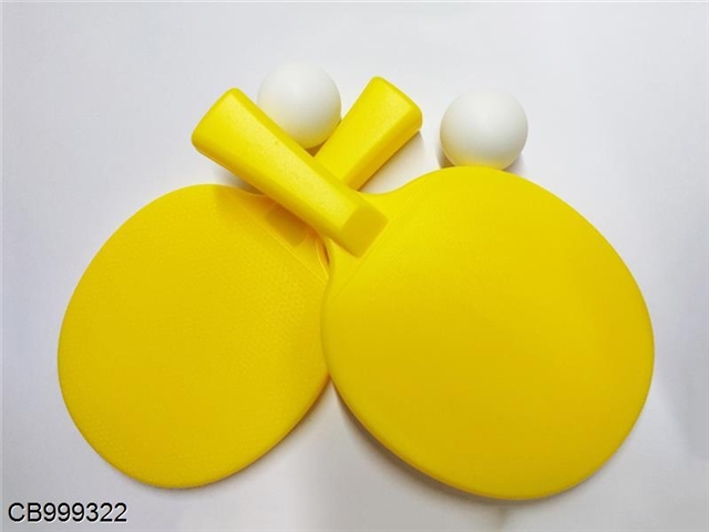Table Tennis Set (with 2 balls)